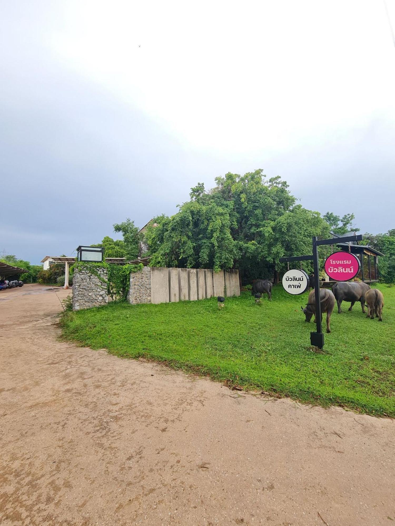 Bualinn Resort Nong Khai Exterior photo